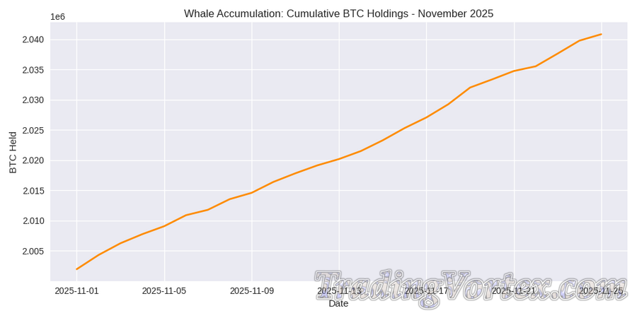 Whale Accumulation: Cumulative BTC Holdings, November 2025