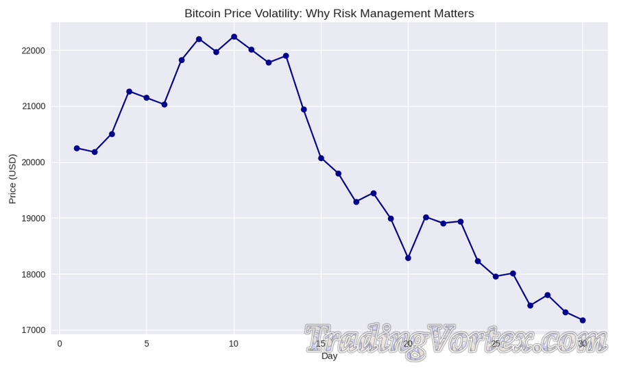 Bitcoin Price Volatility: Why Risk Management Matters