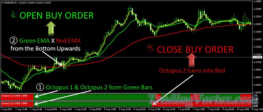 Forex Octopus System Buy Signal Rules
