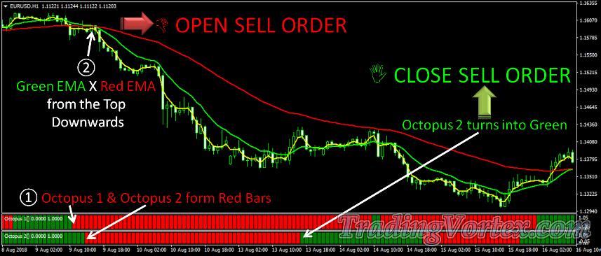 Forex Octopus System Sell Signal Rules